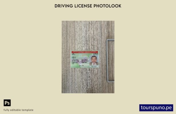 listo para imprimir plantilla frontal de aspecto fotográfico del permiso de co 6